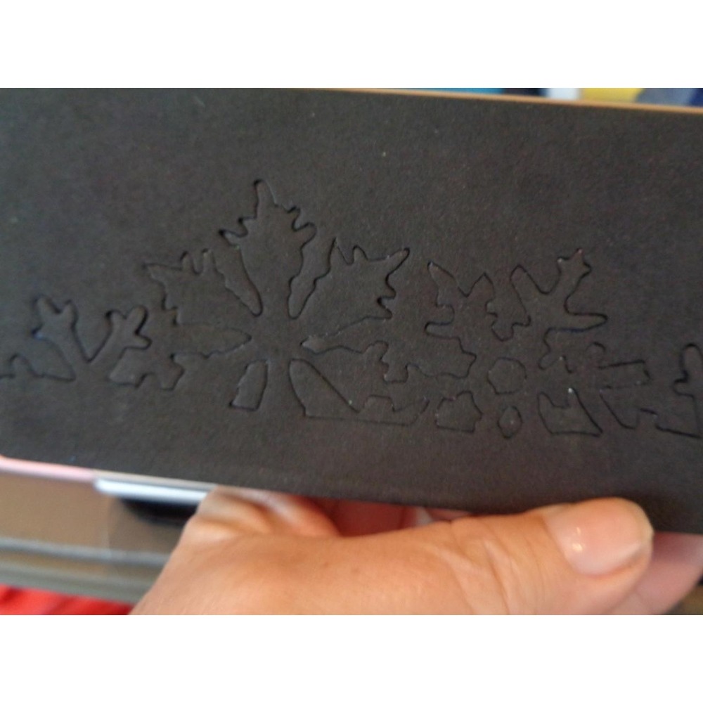 Jim Holtz Alterations Sizzix Snow Flurries On the Edge Die